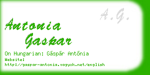 antonia gaspar business card